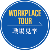 職場見学